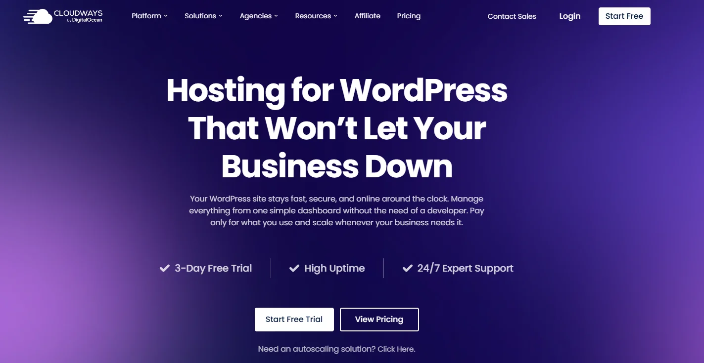 Cloudways WordPress Hosting Official Page 