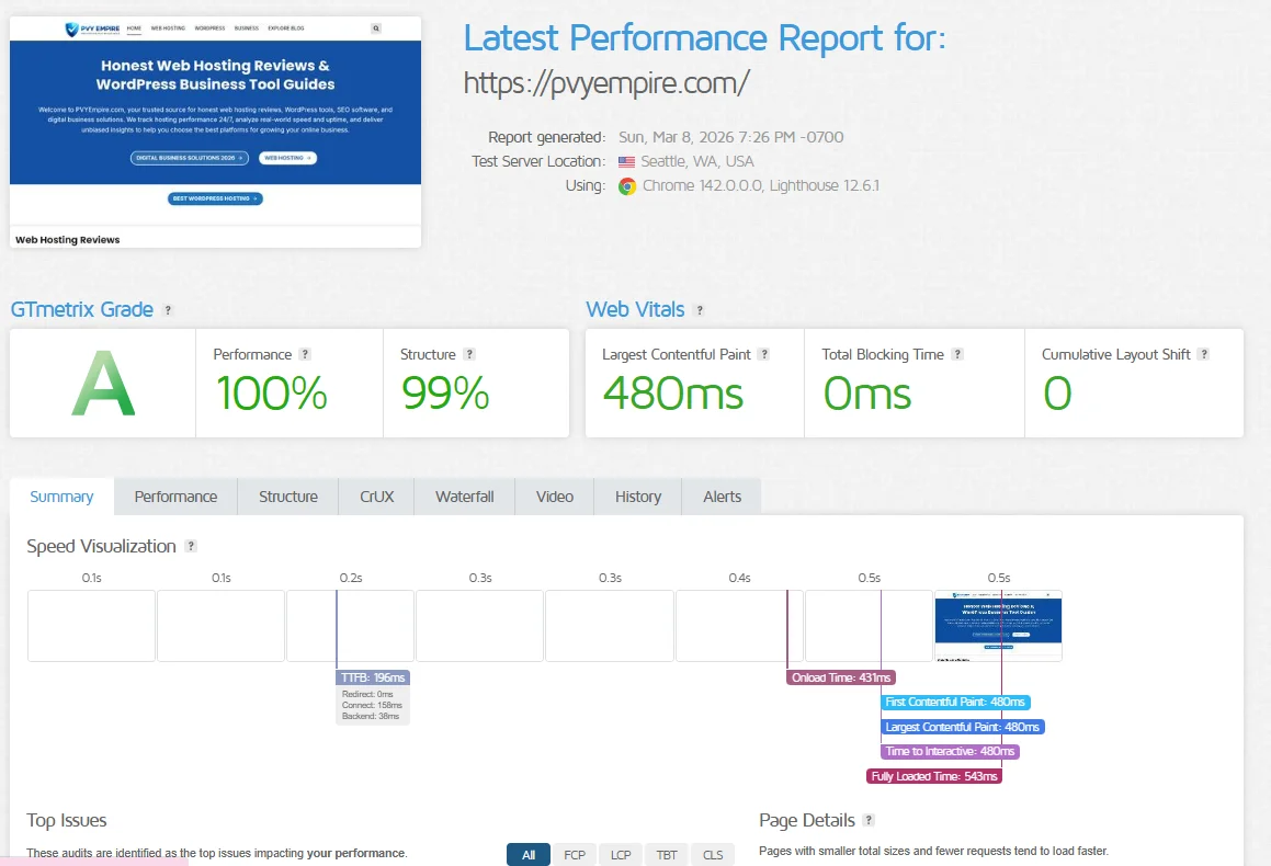 GTmetrix performance report showing PVY Empire website with 100% performance score and fast loading speed