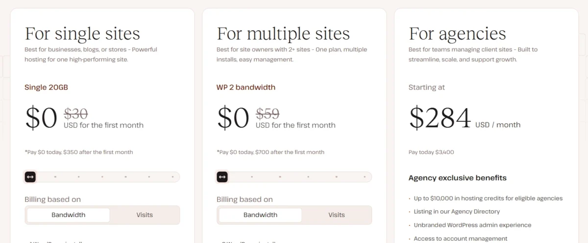 Kinsta hosting pricing categories for single sites, multiple sites, and agencies with promotional first-month offers and plan details