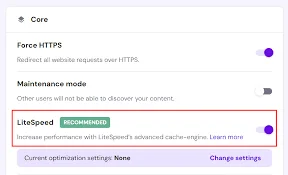 Test Hostinger LiteSpeed Cache Settings