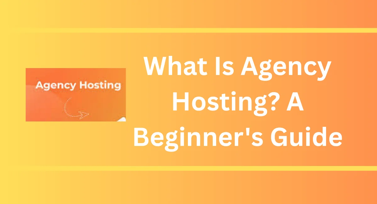 What Is Agency Hosting? A Begginer,s Guide