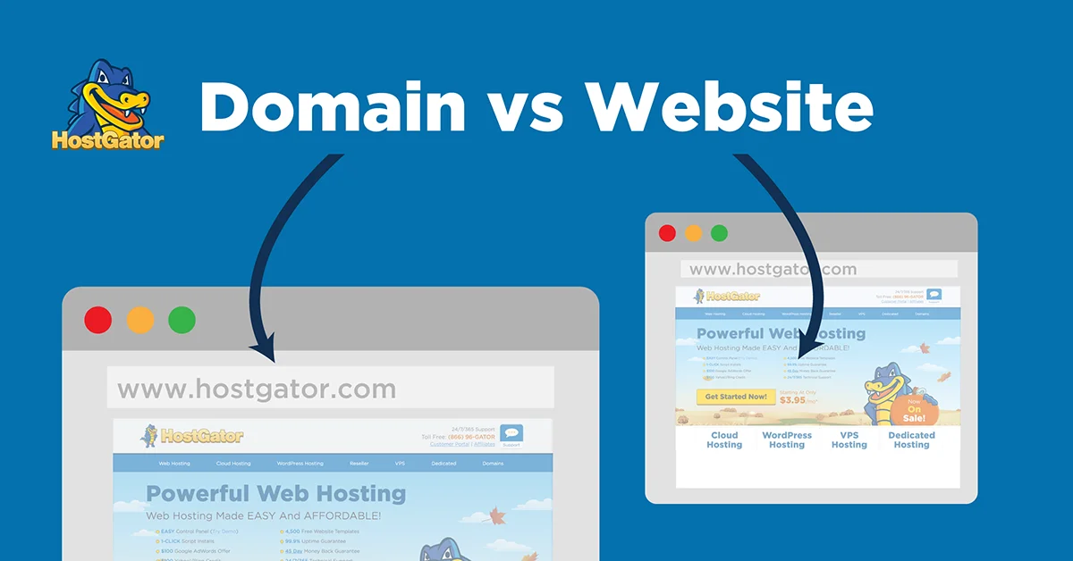 Web Hosting vs Domain Name vs Website