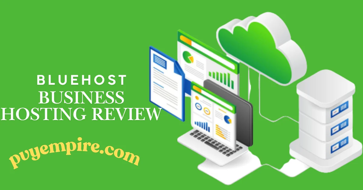 Bluehost Business Hosting Review: Best for Businesses?