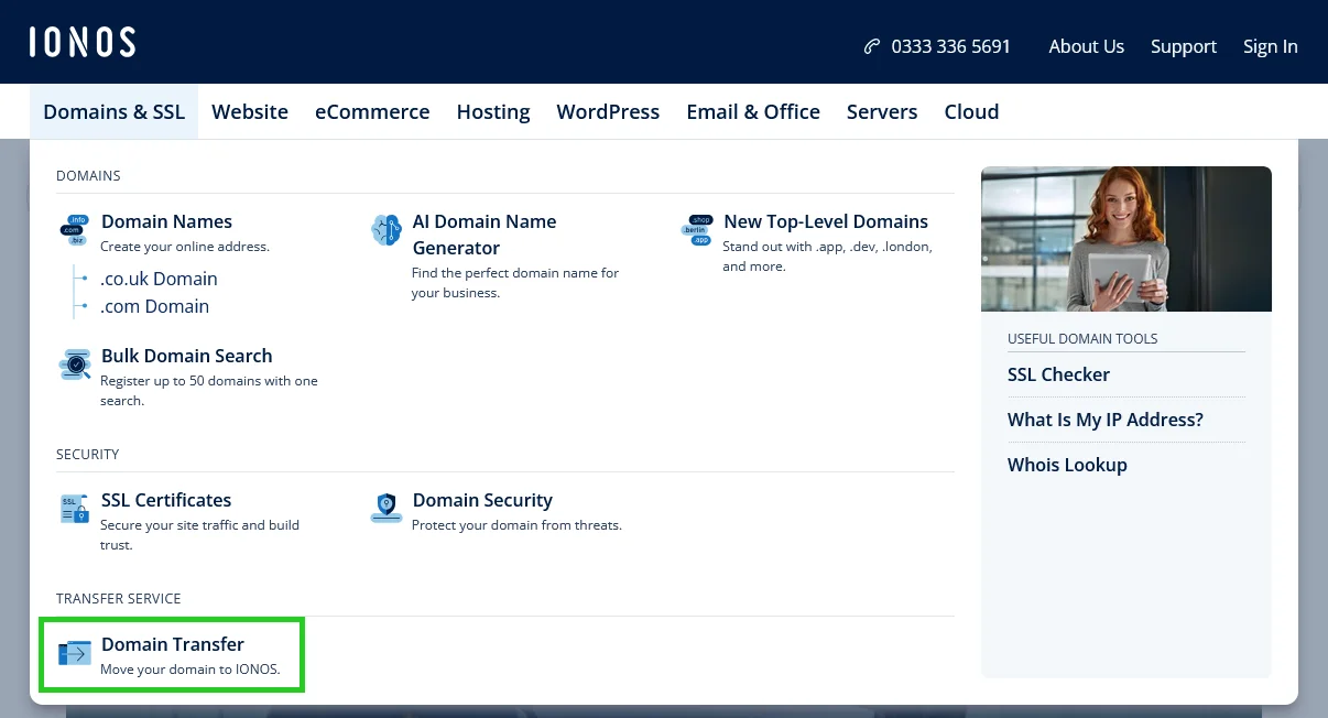 Ionos Website Builders, Domains, and Site Migration
