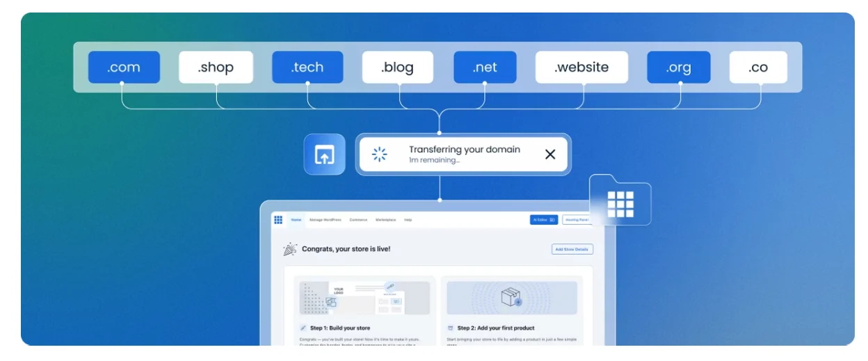 How Much Does a Bluehost Domain Cost After the First Year