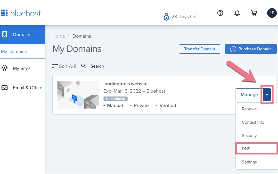 How to Check if Your Domain Is Pointing to Bluehost