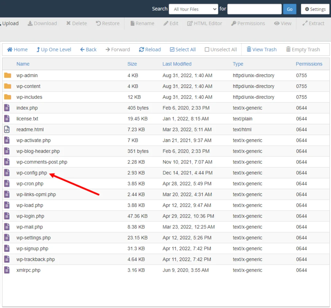 Upload the WordPress Files