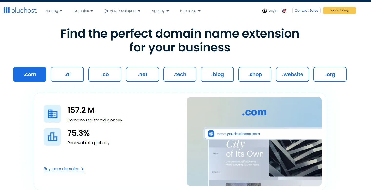 Which Domain Extensions Are Eligible for a Free Domain